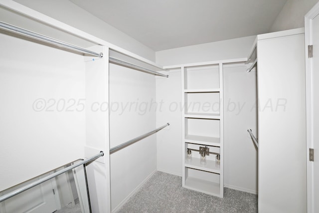 spacious closet featuring carpet