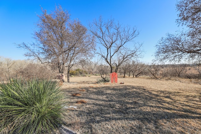 view of yard with a rural view