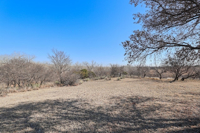 view of local wilderness with a rural view