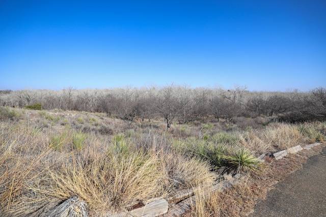 view of landscape with a rural view