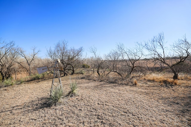 view of yard featuring a rural view