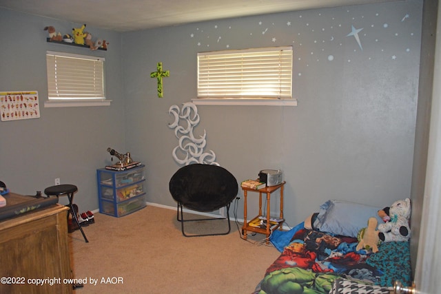 view of carpeted bedroom