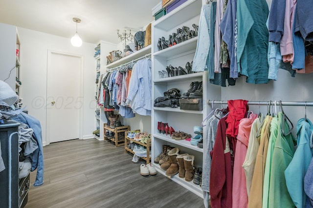 spacious closet featuring wood finished floors