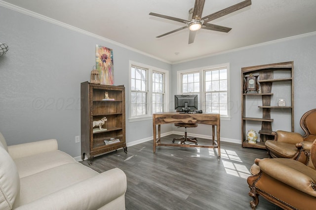 office space featuring crown molding, dark wood-style flooring, and a wealth of natural light