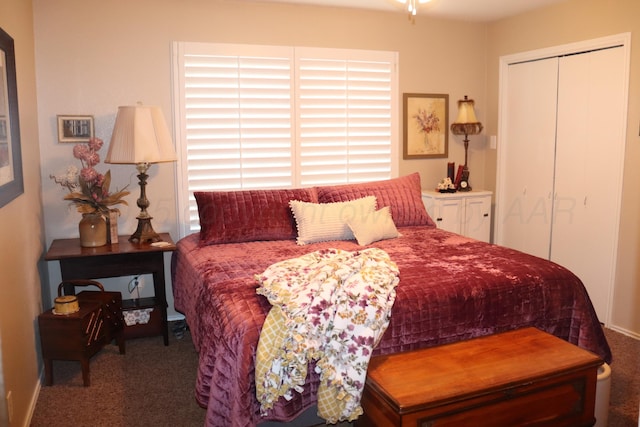 3014 Edgemere Dr, Plainview, TX 79072 - carpeted bedroom with a closet