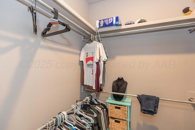 view of walk in closet
