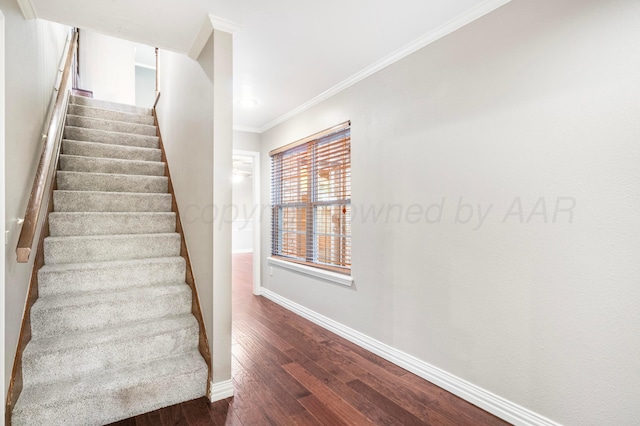 staircase featuring hardwood / wood-style floors and crown molding