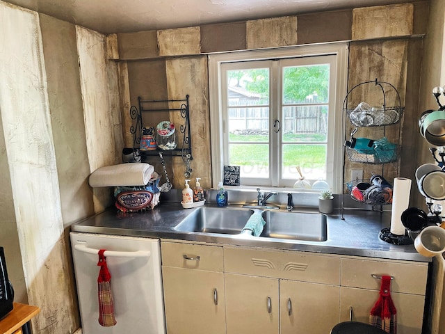 kitchen featuring stainless steel dishwasher and sink