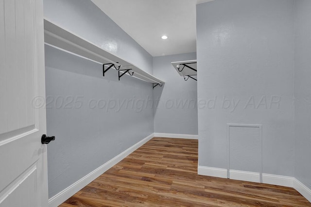 walk in closet featuring wood finished floors