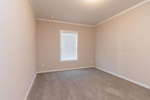 unfurnished room with carpet and ornamental molding