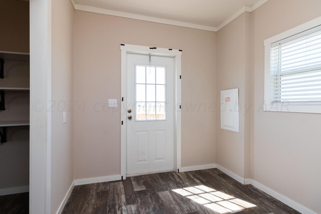 doorway to outside with crown molding, a healthy amount of sunlight, and dark hardwood / wood-style floors