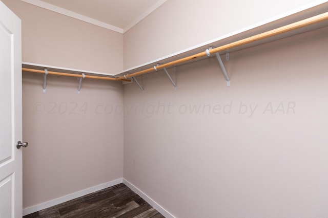 spacious closet with dark wood-type flooring