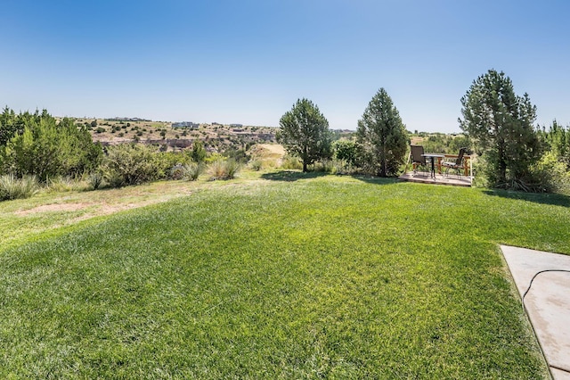 6955 Blue Sky Dr, Amarillo, TX 79118 - photo 47