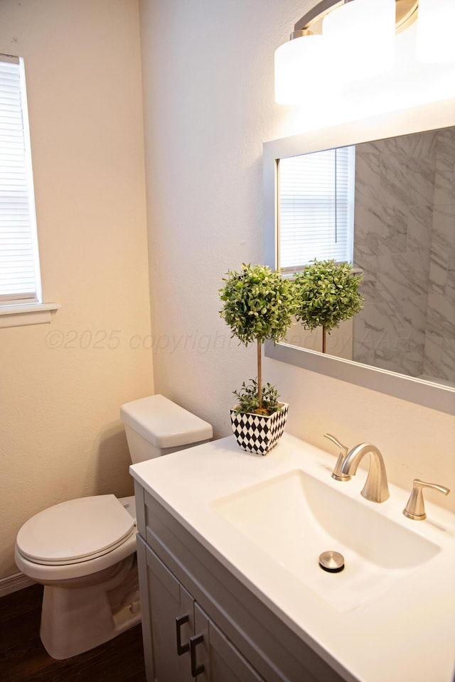 220 Hickory St, Hereford, TX 79045 - half bath featuring vanity, healthy amount of natural light, and wood finished floors