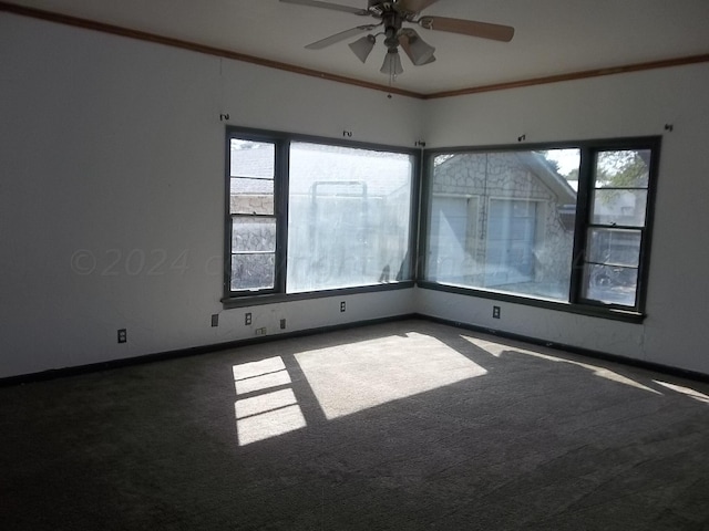 carpeted spare room featuring ornamental molding and ceiling fan