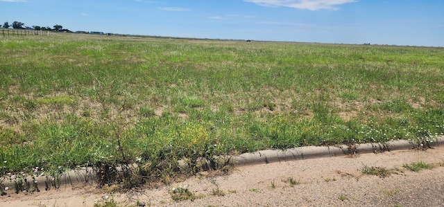 11120 Andretti Dr, Amarillo, TX 79118 - photo 4