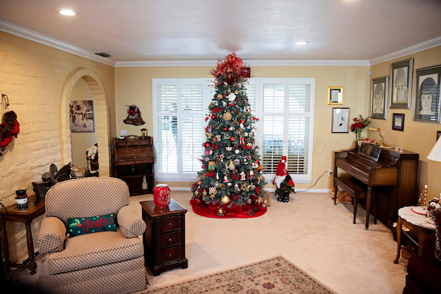 living area with crown molding, plenty of natural light, and carpet