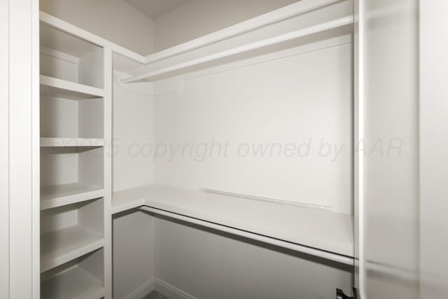 view of walk in closet