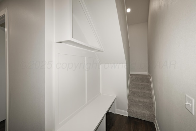 mudroom featuring dark wood-type flooring