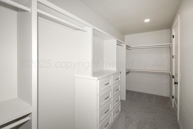 walk in closet with carpet flooring