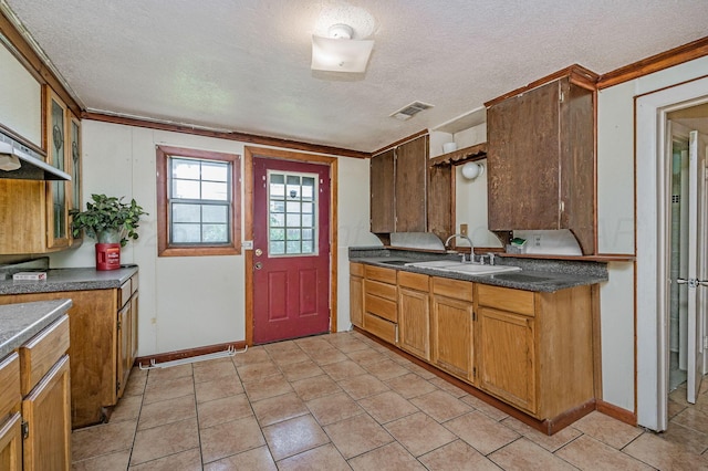 102 S Sumner St, Pampa, TX 79065 - kitchen with a sink, a textured ceiling, dark countertops, baseboards, and ornamental molding