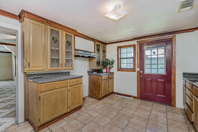 102 S Sumner St, Pampa, TX 79065 - kitchen with under cabinet range hood, dark countertops, crown molding, a textured ceiling, and glass insert cabinets
