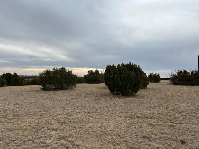  - photo 25