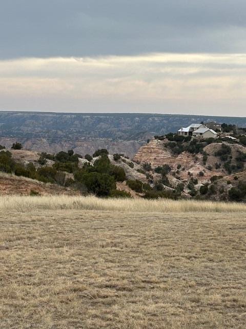 Listing photo 2 for 10450 Indian Camp Trl, Canyon TX