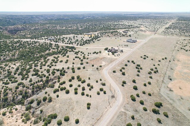 Listing photo 3 for 10450 Indian Camp Trl, Canyon TX