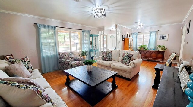 907 Cherry Ave, Dalhart, TX 79022 - living area featuring light wood-type flooring and crown molding