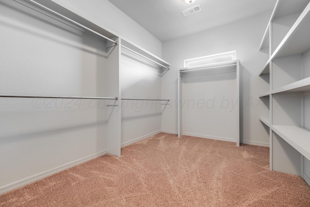 spacious closet featuring carpet flooring