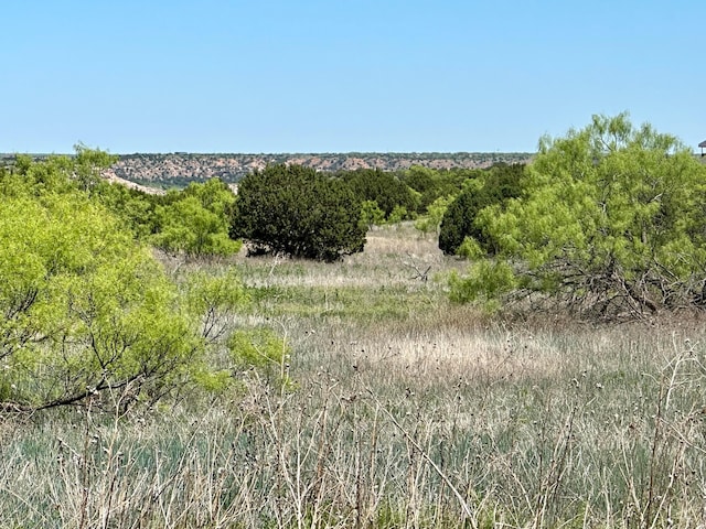 710 Canyon Pkwy, Canyon, TX 79015 - photo 1