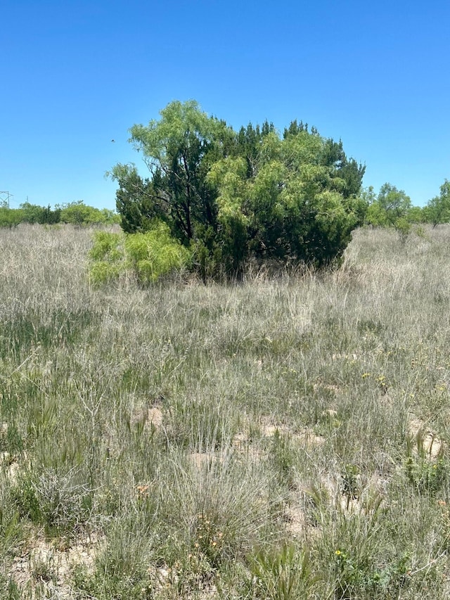 710 Canyon Pkwy, Canyon, TX 79015 - photo 4