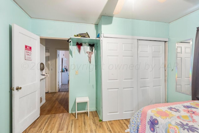 bedroom with a closet and wood-type flooring