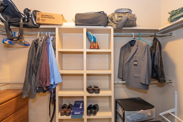 3508 Bismarck Ave, Amarillo, TX 79118 - view of spacious closet