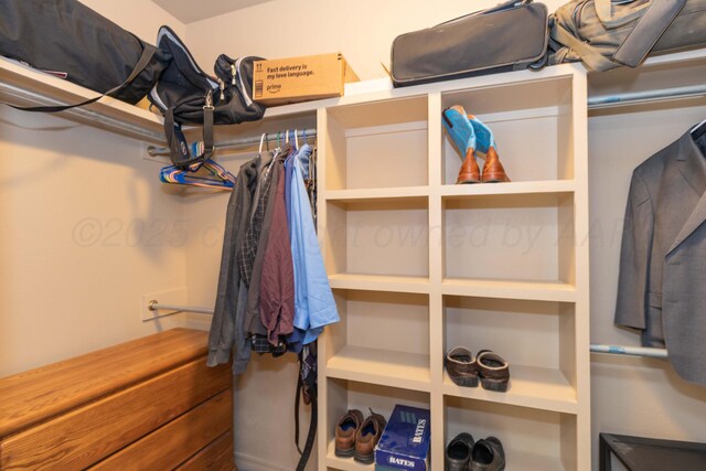 3508 Bismarck Ave, Amarillo, TX 79118 - view of spacious closet