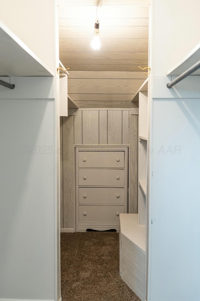 walk in closet featuring dark carpet