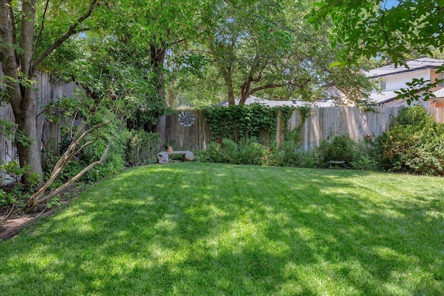 3902 Lynette Dr, Amarillo, TX 79109 - photo 29