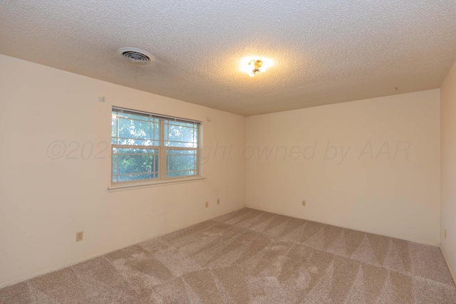 6111 Princeton St, Amarillo, TX 79109 - unfurnished room with light colored carpet and a textured ceiling