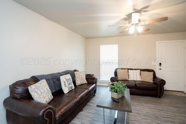 5012 Locker St, Amarillo, TX 79118 - living area featuring wood finished floors and ceiling fan