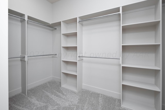 walk in closet with carpet flooring