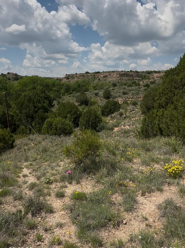W Timbercreek Dr, Amarillo, TX 79118