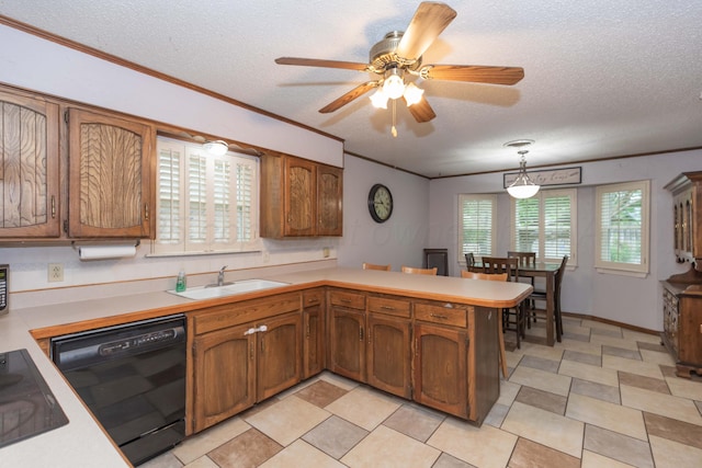 7806 Cervin Dr, Amarillo, TX 79121 - kitchen with black appliances, a sink, light countertops, a textured ceiling, and ornamental molding