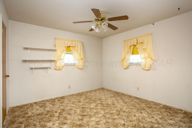 226 Sagebrush Ave, Amarillo, TX 79108 - photo 22