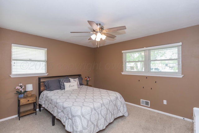 407 Thompson Ln, Canyon, TX 79015 - bedroom featuring baseboards, visible vents, and multiple windows