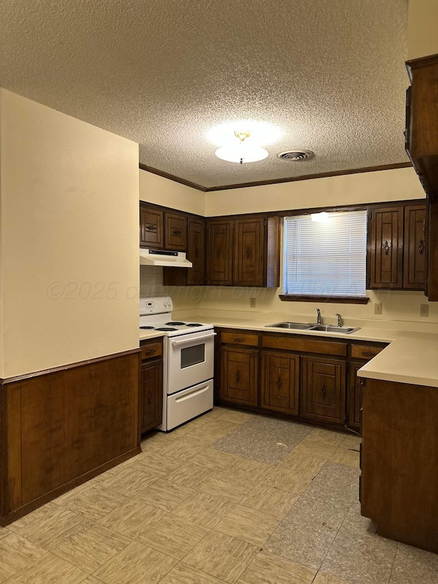 kitchen with sink, white range with electric cooktop, crown molding, dark brown cabinets, and a textured ceiling