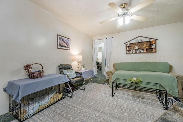 1630 N Highland St, Amarillo, TX 79107 - photo 3