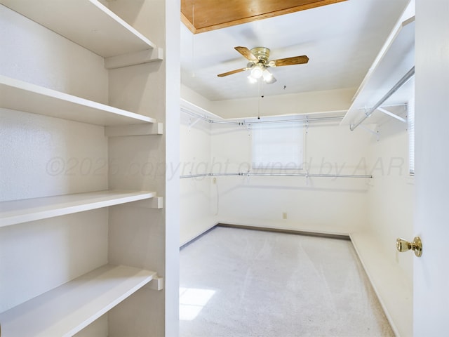 1924 N Dwight St, Pampa, TX 79065 - walk in closet featuring carpet flooring and a ceiling fan