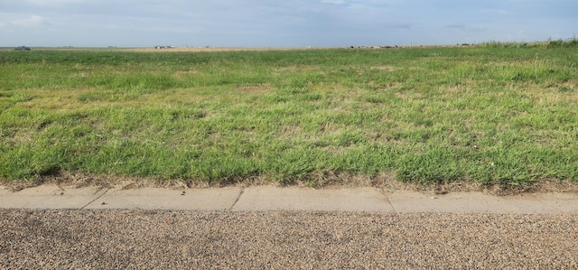19401 Bridle Trails Dr, Amarillo, TX 79119 - photo 4