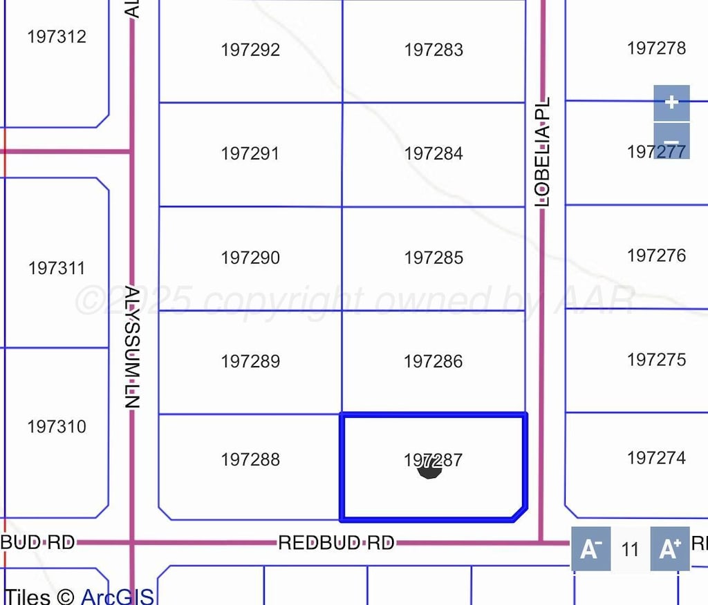 14586 Lobelia Pl, Amarillo, TX 79119